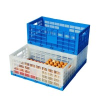 Foldable and stackable PP plastic material egg crate for egg industrial