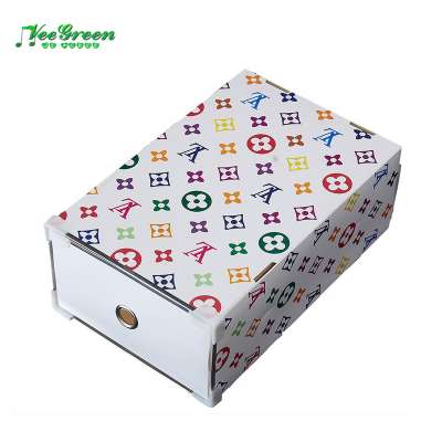 Colorful Storage Plastic Shoe Case